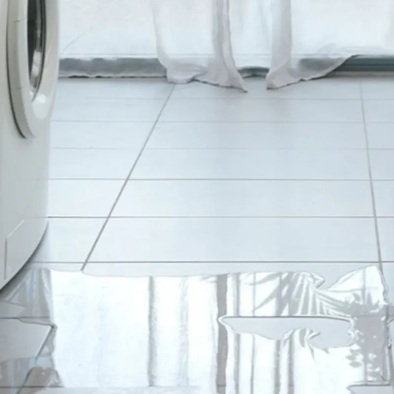 Appliance Leak Cleanup in Bowie County, TX