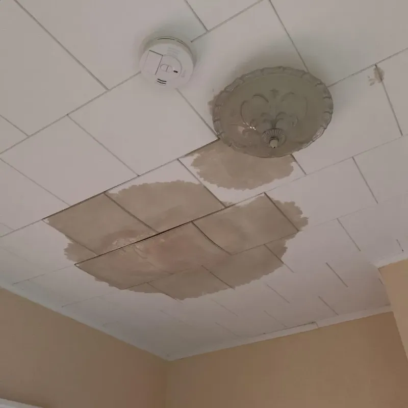 Ceiling Water Damage Repair in Bowie County, TX