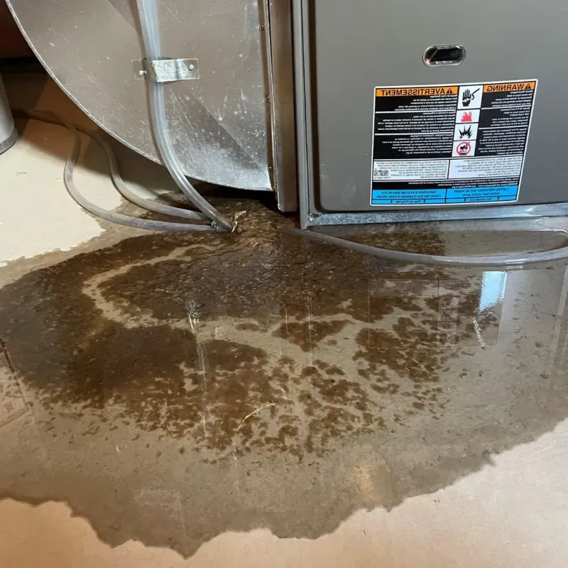 Pipe Burst and Leak Restoration in Bowie County, TX