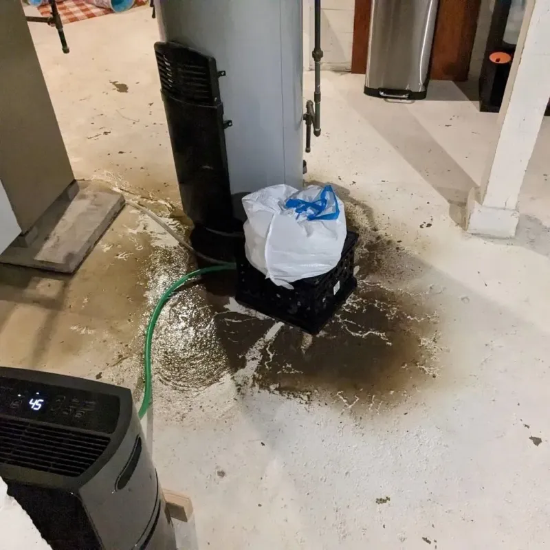 Sewage Backup Cleanup Service in Bowie County, TX